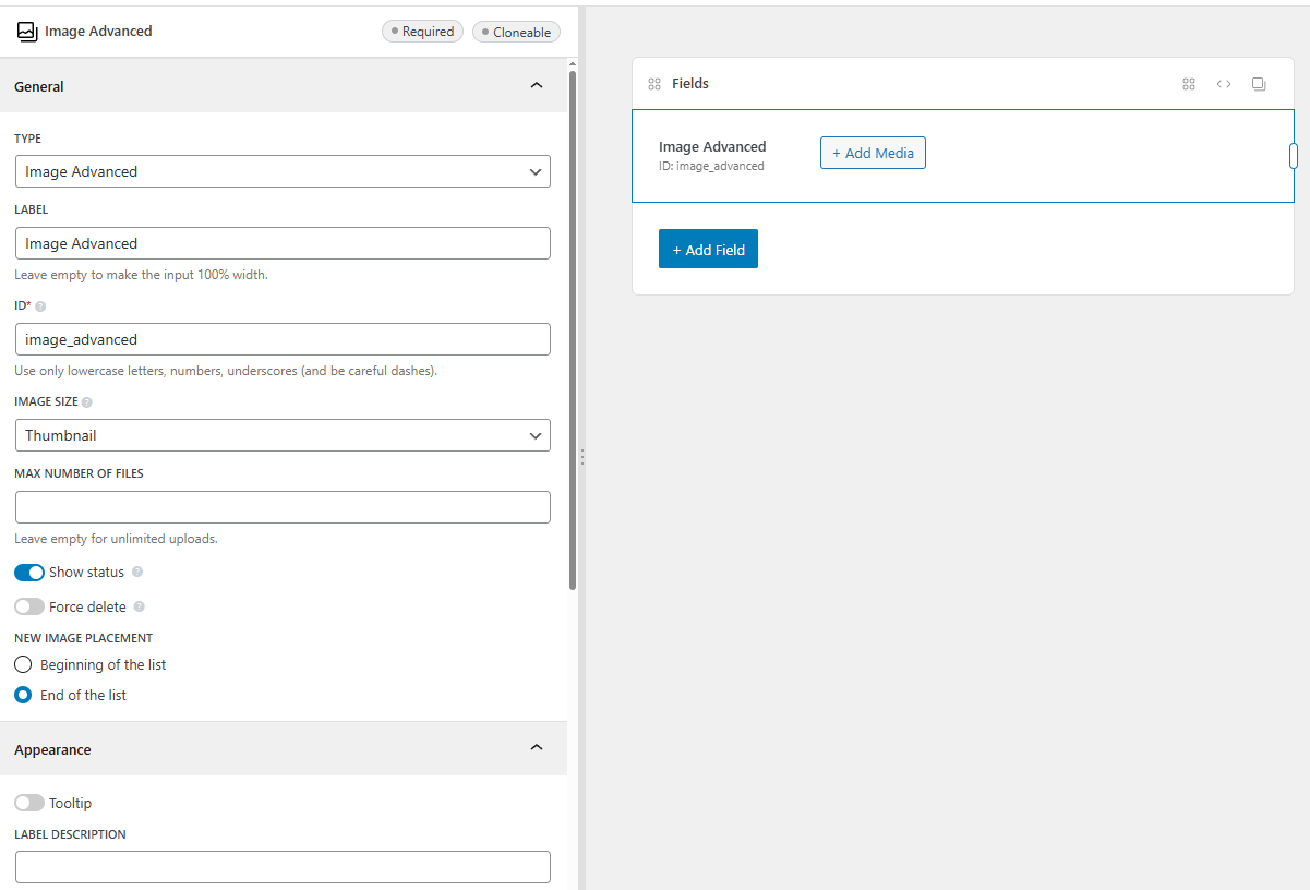 The image advanced field settings
