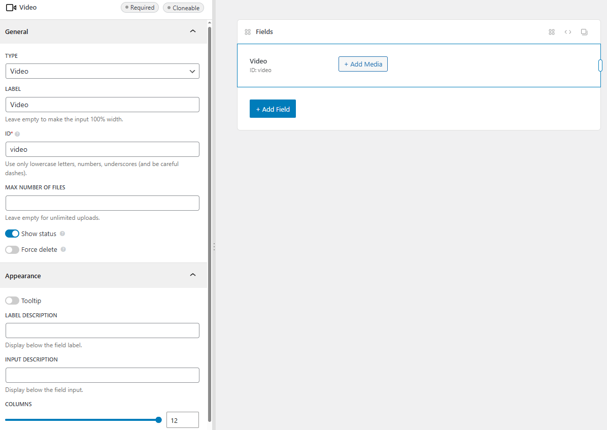 The video field settings